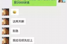 滨城债务清欠服务